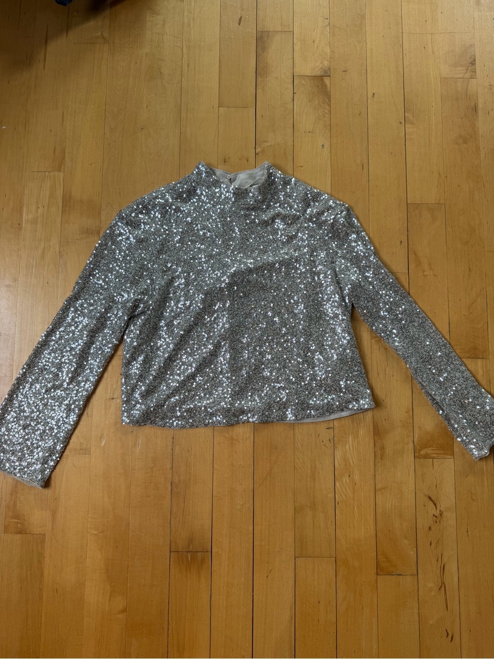 H&M Silver Sequin Long-Sleeve Top